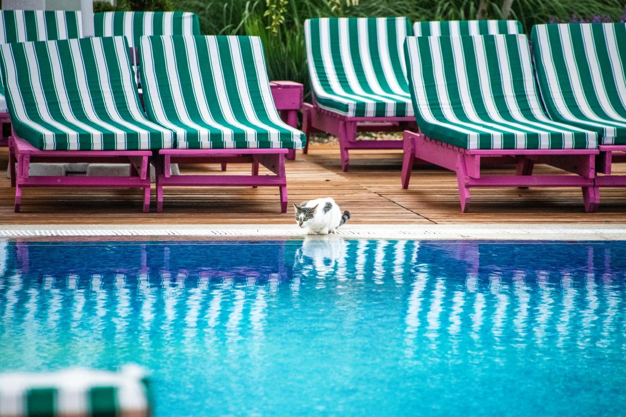 Ibis Styles Venus Hotell Exteriör bild